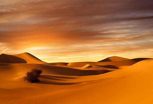 Image of dunes and a camel caravan in the Sahara